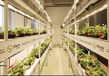 Проект iFarm резидента Академпарка получил 1 млн. долларов инвестиций для реализации очередного этапа развития Проект iFarm резидента Академпарка получил 1 млн. долларов инвестиций для реализации очередного этапа развития