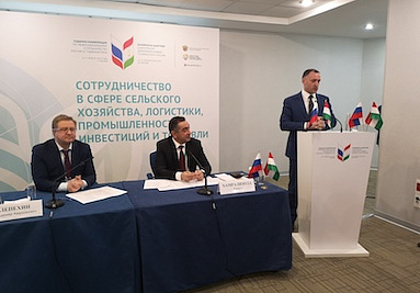 Россия - Таджикистан: Кооперационные связи необходимо восстанавливать, основываясь на историческом опыте