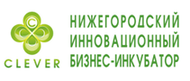 Государственное учреждение «Нижегородский инновационный бизнес-инкубатор» (технопарк Анкудиновка)