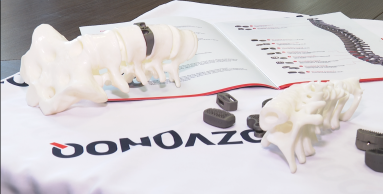 Межпозвонковые кейджи стартапа Pozvonoq   успешно прошли весь цикл доклинических испытаний