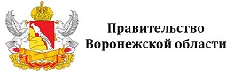 Правительство Воронежской области