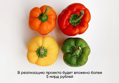 Корпорация развития Нижегородской области сопровождает проект по строительству плодовоовощного комплекса за 5 млрд рублей