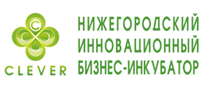 ГУ «Нижегородский инновационный бизнес-инкубатор» (УК технопарка «Анкудиновка»)